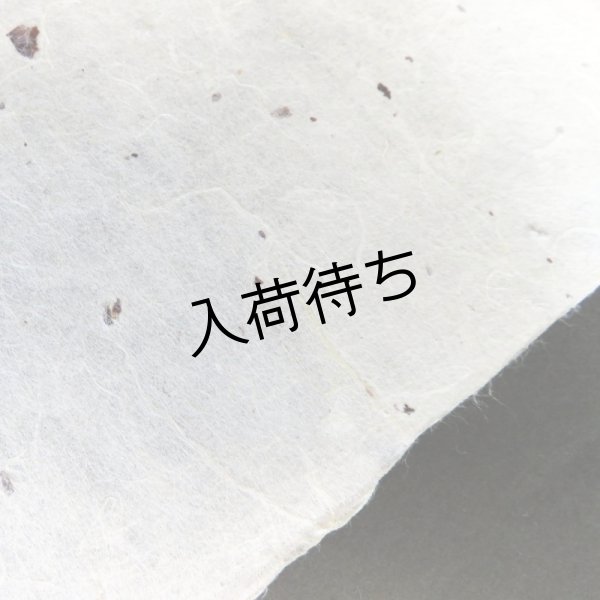 画像4: 越中和紙　楮皮入り紙 (4)
