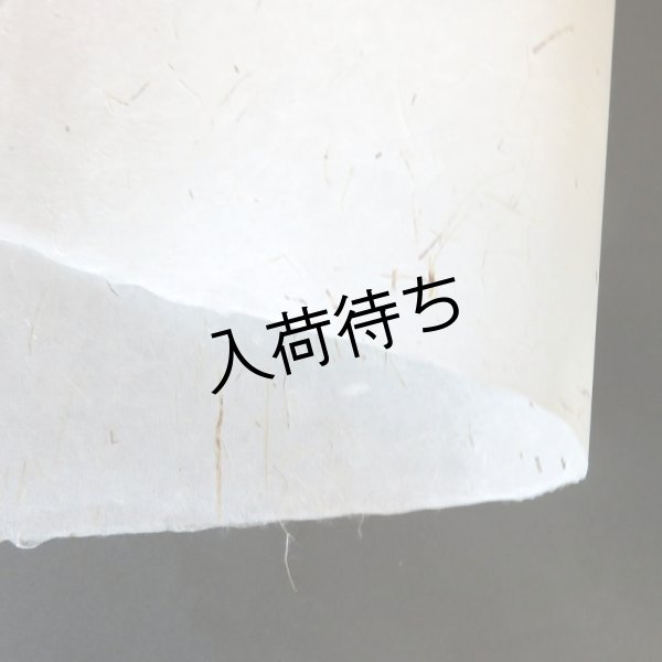 画像2: さつま和紙　竹入り紙 (2)