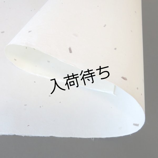 画像3: 大洲和紙　ちり入り紙 (3)