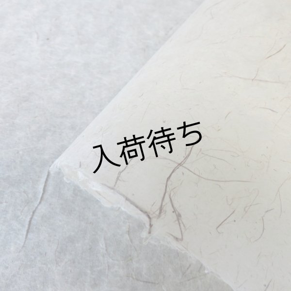 画像6: 東中江和紙　ちり入り (6)