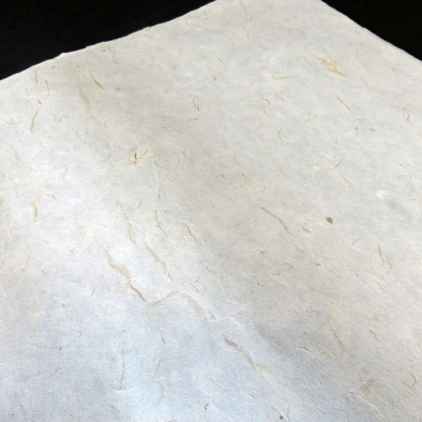 画像4: 土佐和紙 赤筋流し(厚口) (4)