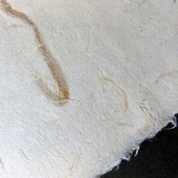 画像3: 土佐和紙 赤筋流し(厚口) (3)