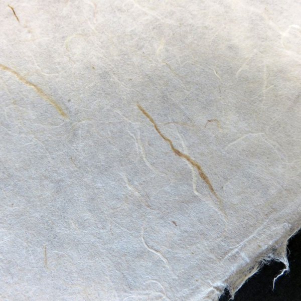 画像4: 土佐和紙　赤筋流し（薄口） (4)