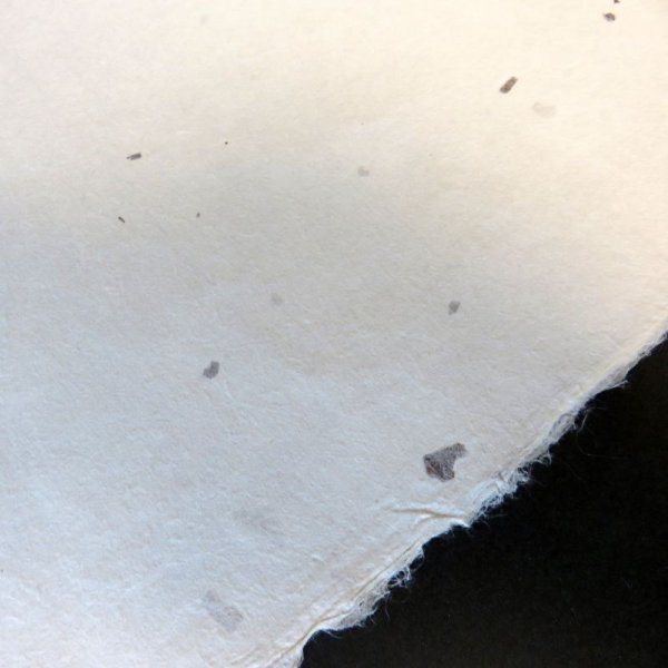 画像4: 大洲和紙 ちり入り紙 (4)