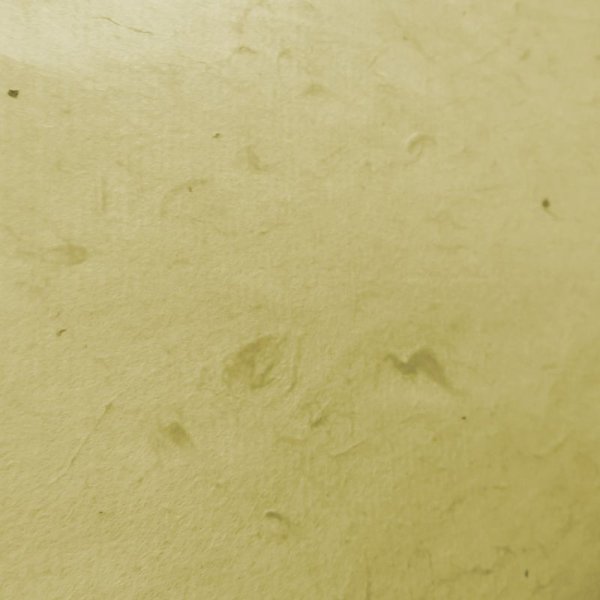 画像4: 東中江和紙　きはだ染 (4)