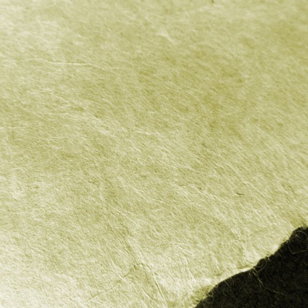 画像5: 東中江和紙　きはだ染 (5)