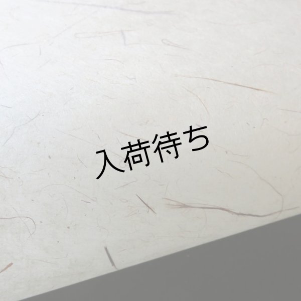 画像5: 東中江和紙　ちり入り (5)