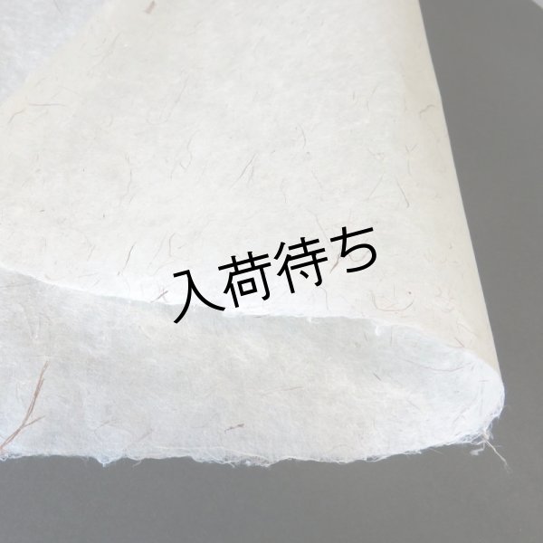 画像2: 東中江和紙　ちり入り (2)