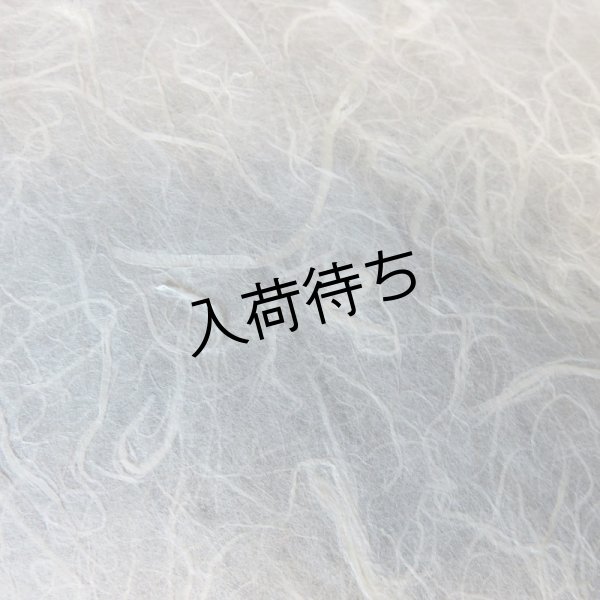 画像1: 因州和紙　雲龍紙（白） (1)