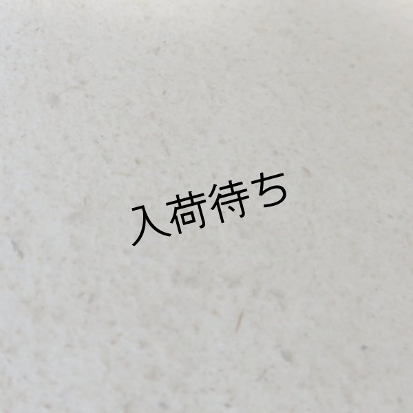 画像1: ちり入り紙 (1)