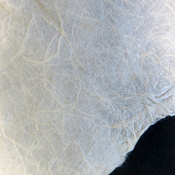 画像3: 黒谷和紙　雲龍紙（未晒） (3)