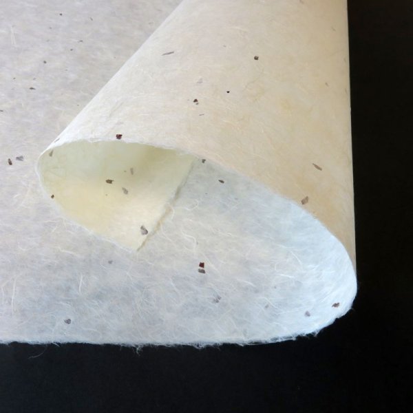 画像2: 越前和紙 ちり入り紙  (2)