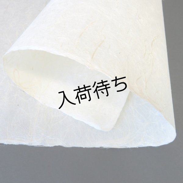 画像2: 黒谷和紙　雲龍紙（未晒） (2)