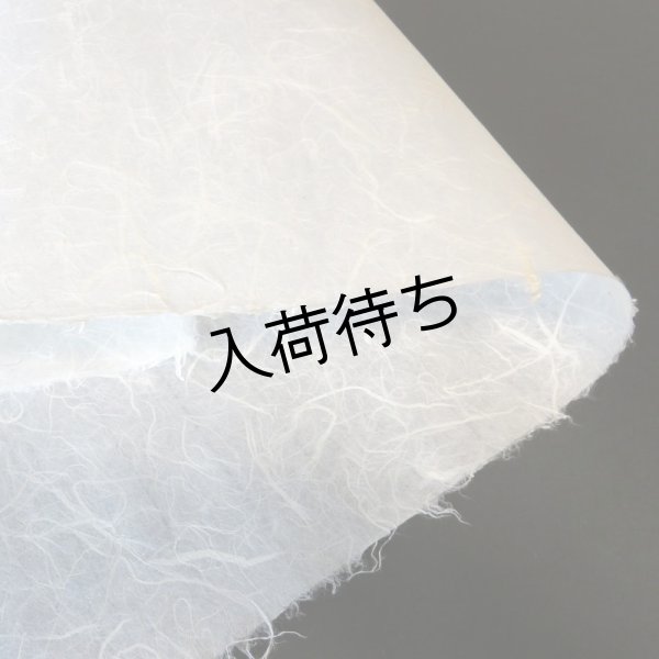 画像4: 因州和紙　雲龍紙（白） (4)