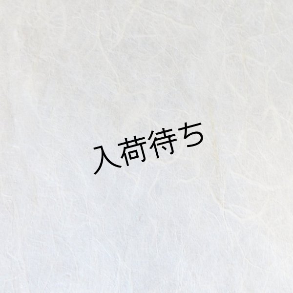 画像1: 黒谷和紙　雲龍紙（未晒） (1)