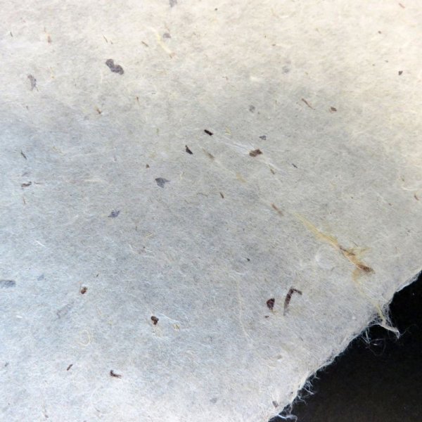 画像3: 因州和紙 ちり入り  (3)