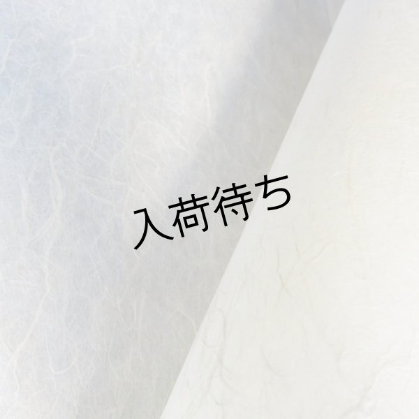 画像4: 黒谷和紙　雲龍紙（未晒） (4)