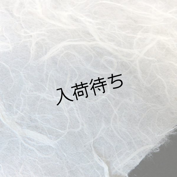 画像3: 因州和紙　雲龍紙（白） (3)