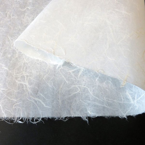 画像2: 因州和紙 雲龍紙(白) (2)