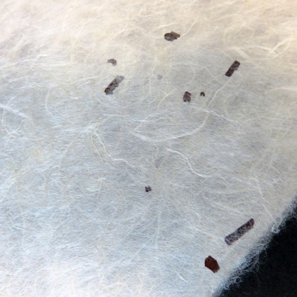 画像3: 越前和紙 ちり入り紙  (3)