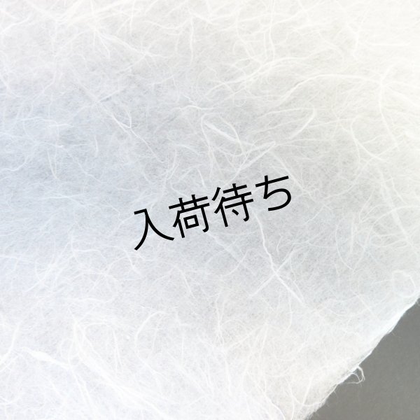 画像3: 越中和紙　雲龍紙（白） (3)