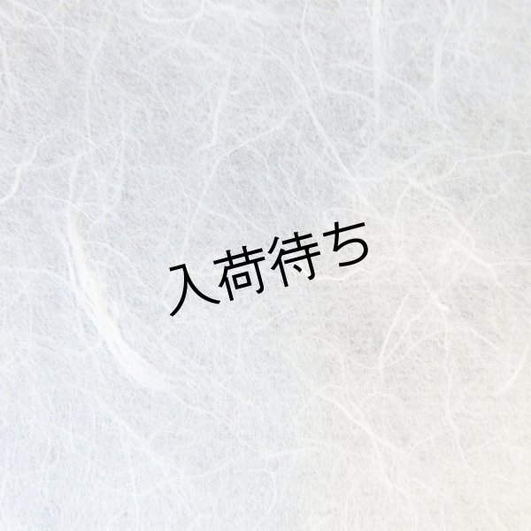 画像1: 越中和紙　雲龍紙（白） (1)