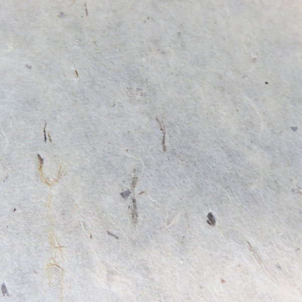 画像5: 因州和紙 ちり入り  (5)