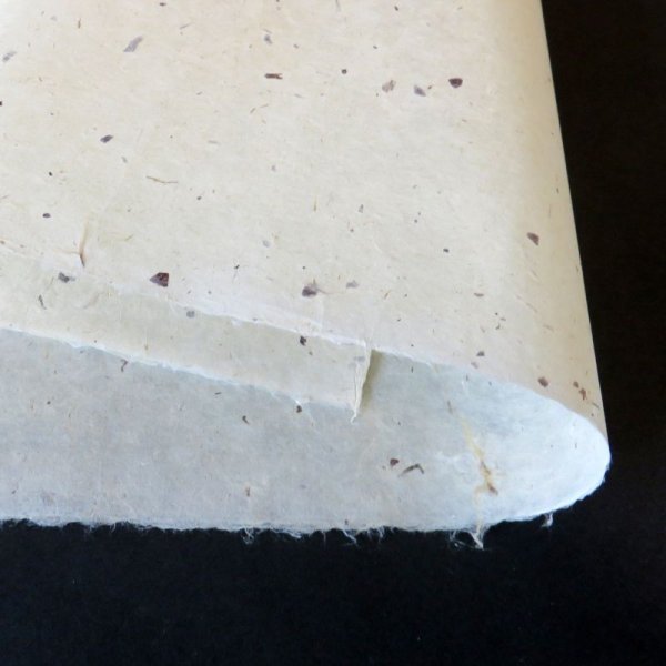 画像2: 因州和紙 ちり入り  (2)