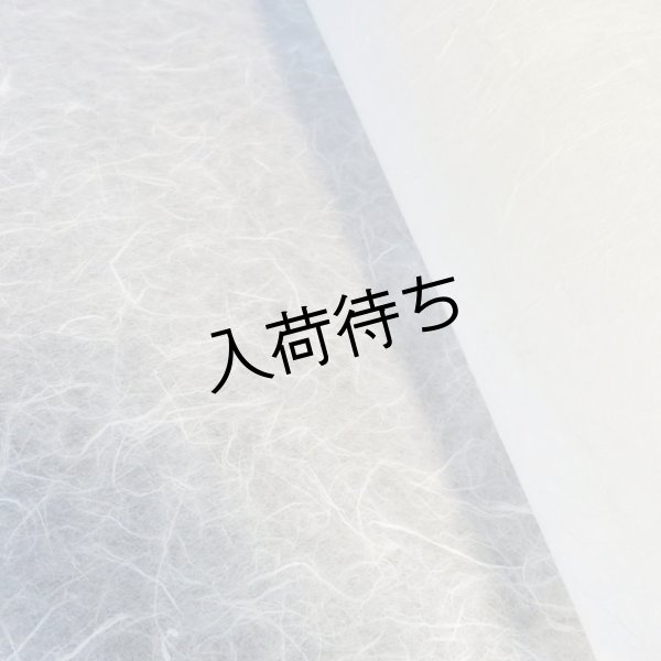 画像4: 越中和紙　雲龍紙（白） (4)
