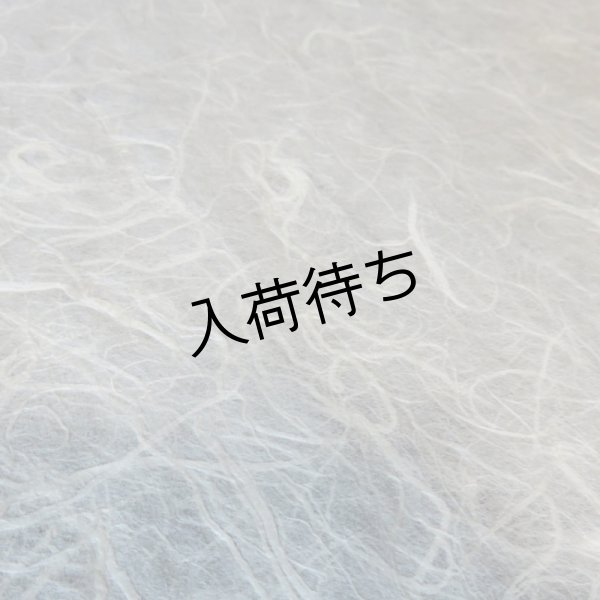 画像5: 因州和紙　雲龍紙（白） (5)