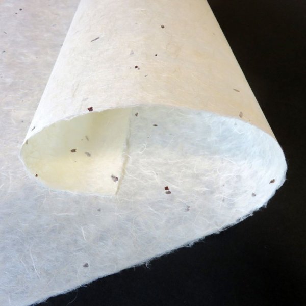 画像4: 越前和紙 ちり入り紙  (4)