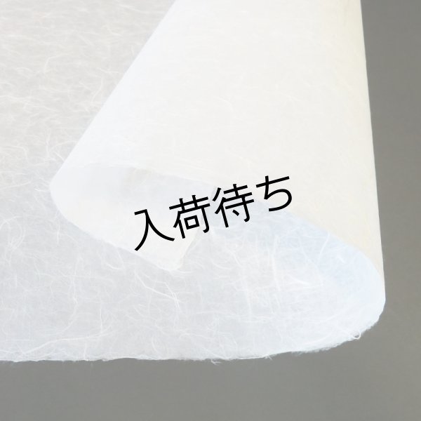 画像2: 越中和紙　雲龍紙（白） (2)