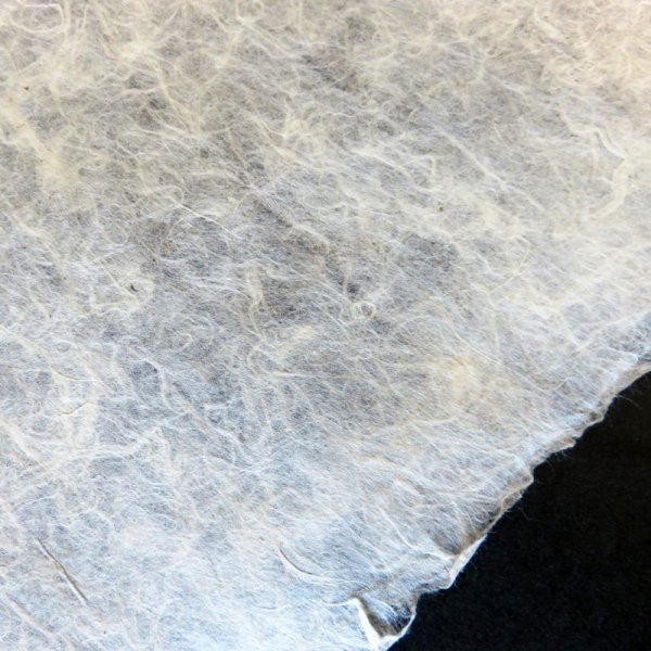 画像3: 越後小出和紙 純楮紙未晒 (3)