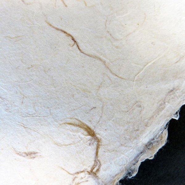 画像4: 美濃和紙 粕入り紙(大きい粕) (4)