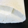 画像3: 美濃和紙　粕入り紙（大きい粕） (3)