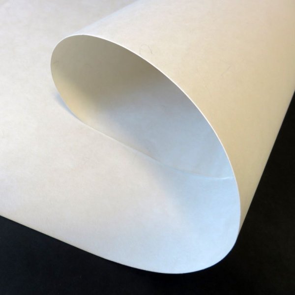 画像3: いぐさ入り(機械抄き) (3)