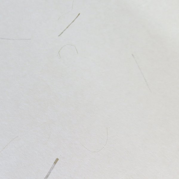 画像2: いぐさ入り(機械抄き) (2)