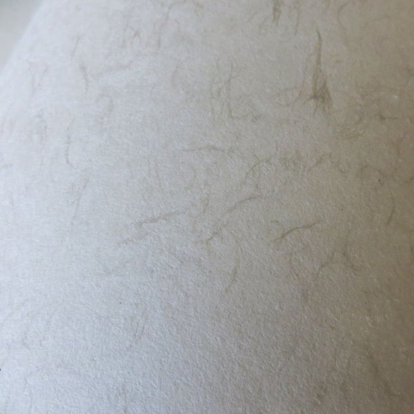 画像4: 細波(楮繊維入り)(機械抄き) (4)