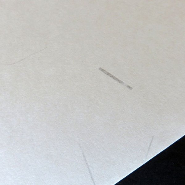 画像4: いぐさ入り(機械抄き) (4)