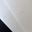 画像1: いぐさ入り（機械抄き） (1)