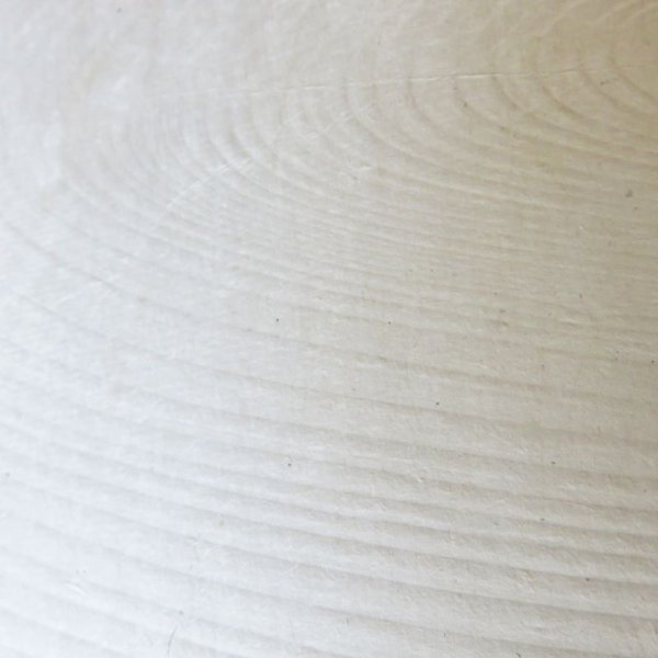 画像3: 小川和紙　パイナップル紙 (3)