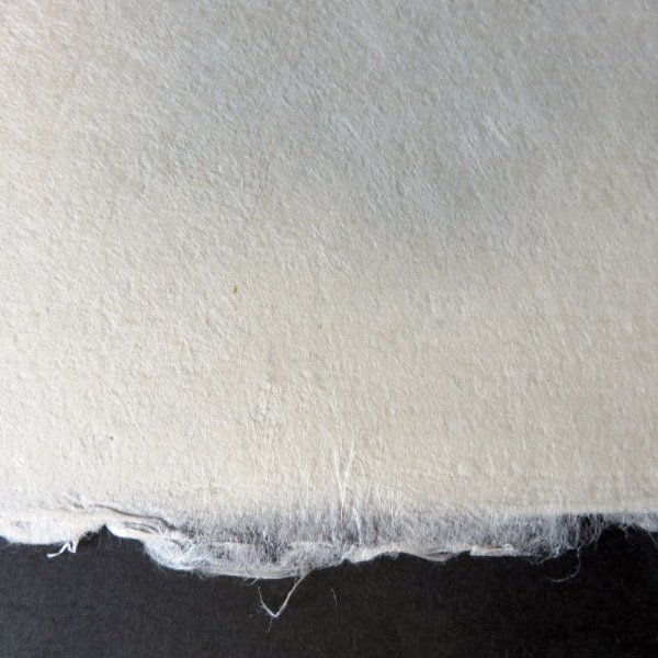 画像3: 加賀二俣和紙　加賀奉書　410×525mm (3)