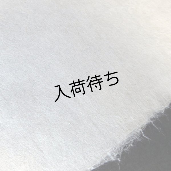 画像3: 楮紙（晒） (3)