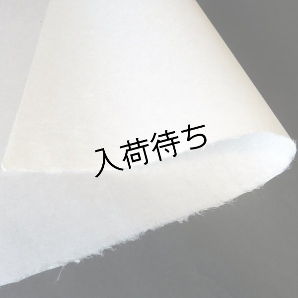 画像1: 楮紙（晒） (1)