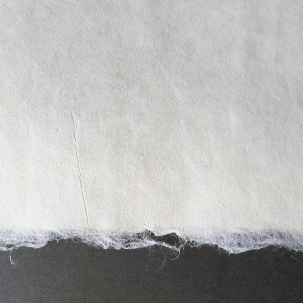 画像3: 越中和紙 書画用紙(未晒) (3)