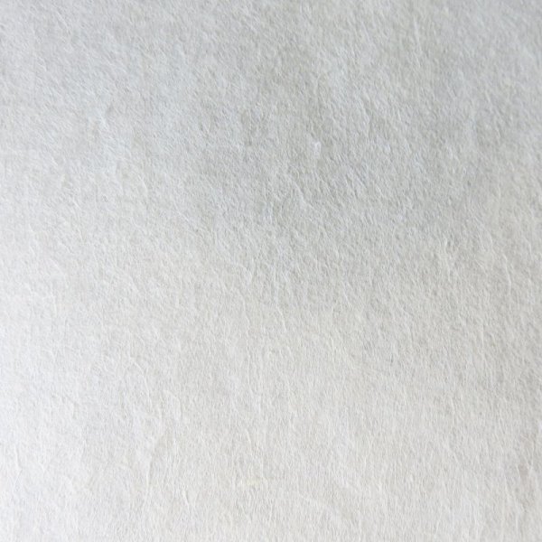 画像2: 越中和紙 書画用紙(晒) (2)