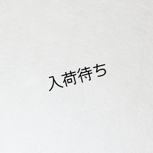 画像2: 楮紙（晒） (2)