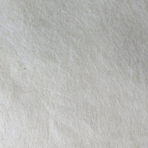 画像2: 越中和紙 書画用紙(未晒) (2)
