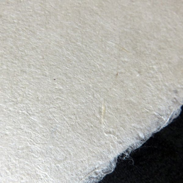 画像4: 加賀二俣和紙　加賀奉書　410×525mm (4)