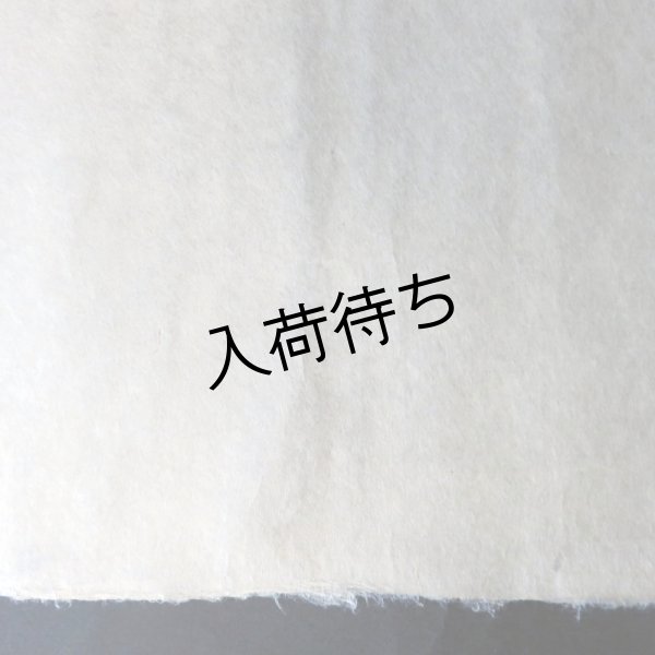画像4: 三椏紙　石灰煮（未晒） (4)